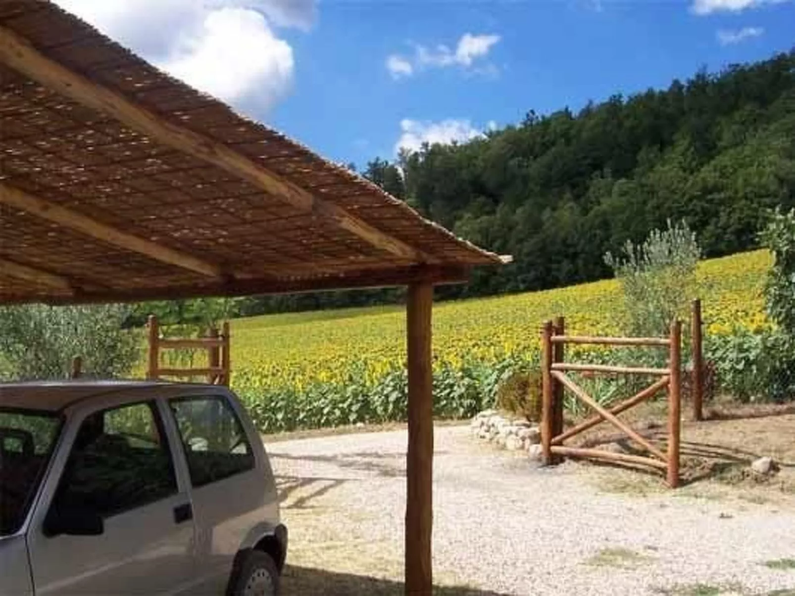 Großes Appartement-Buiten