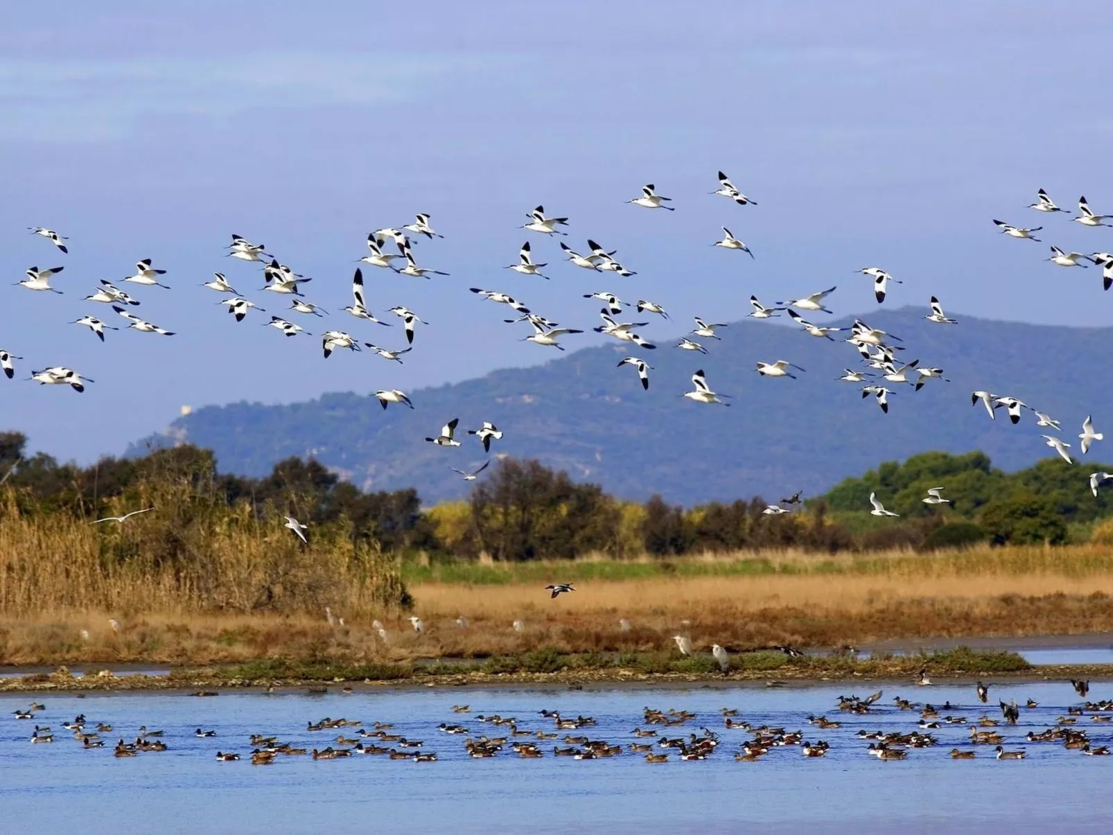 Anwesen mit Schwimmbad-Binnen