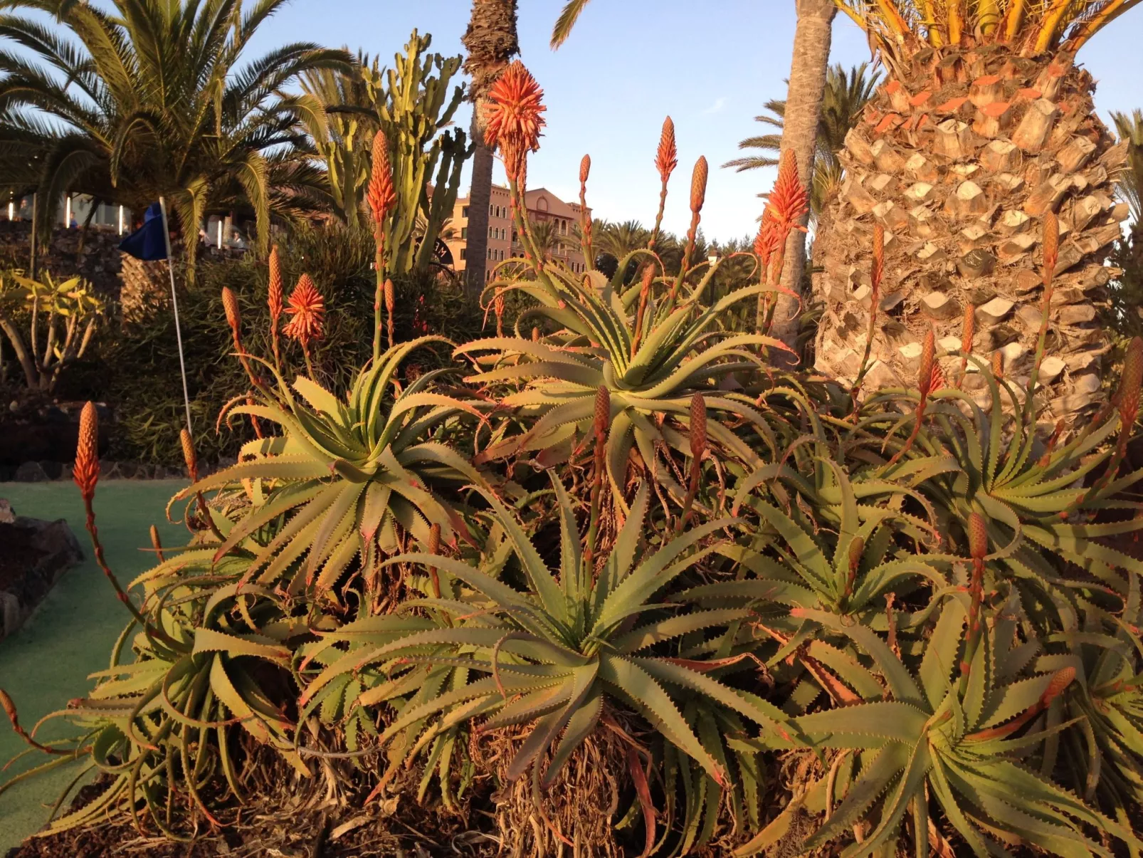 "Jandia" mit Wasserblick-Image-tags.info