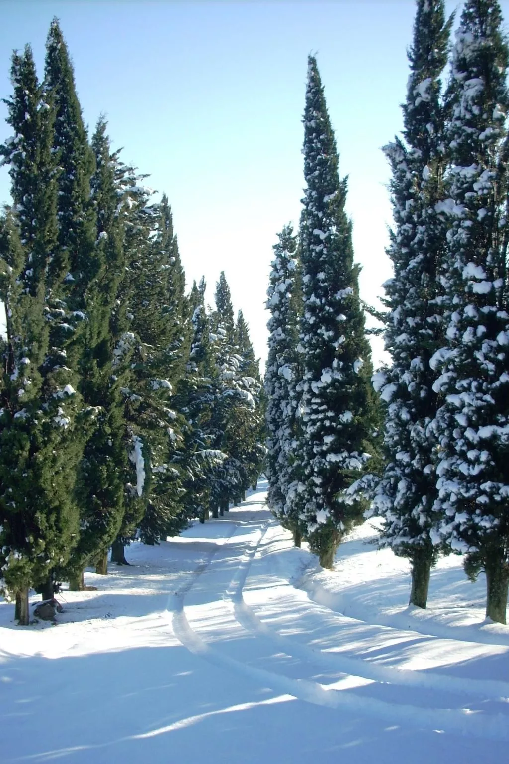 Anwesen mit Terrasse-Image-tags.info