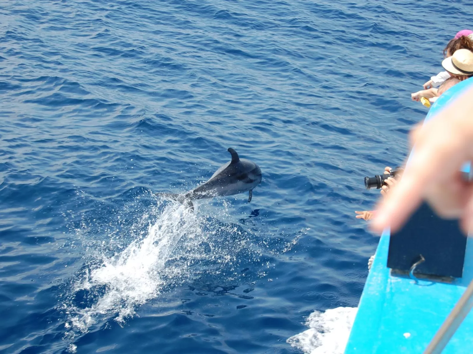 Appartment Laura-Image-tags.info