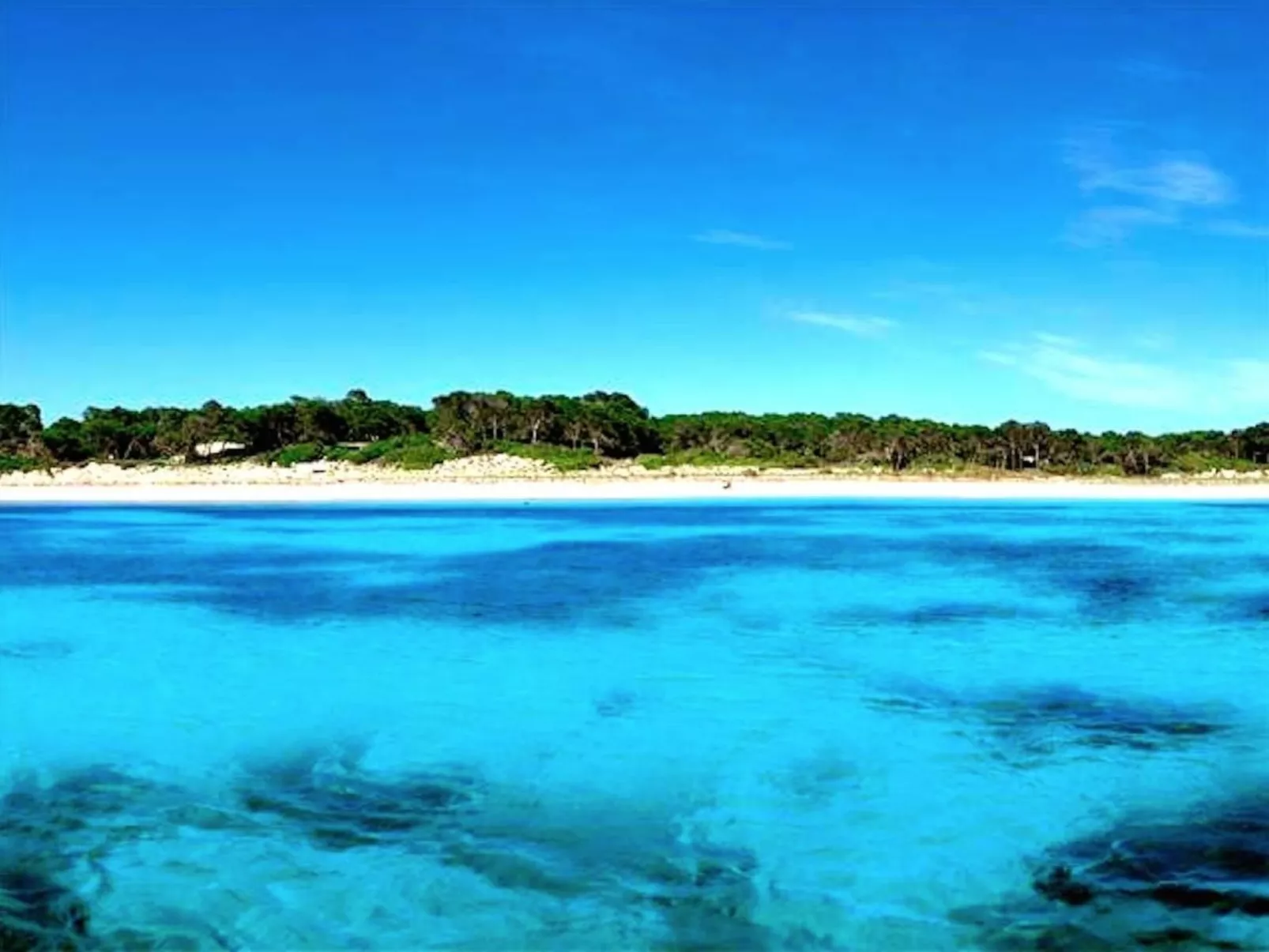 Finca Campino-Image-tags.info