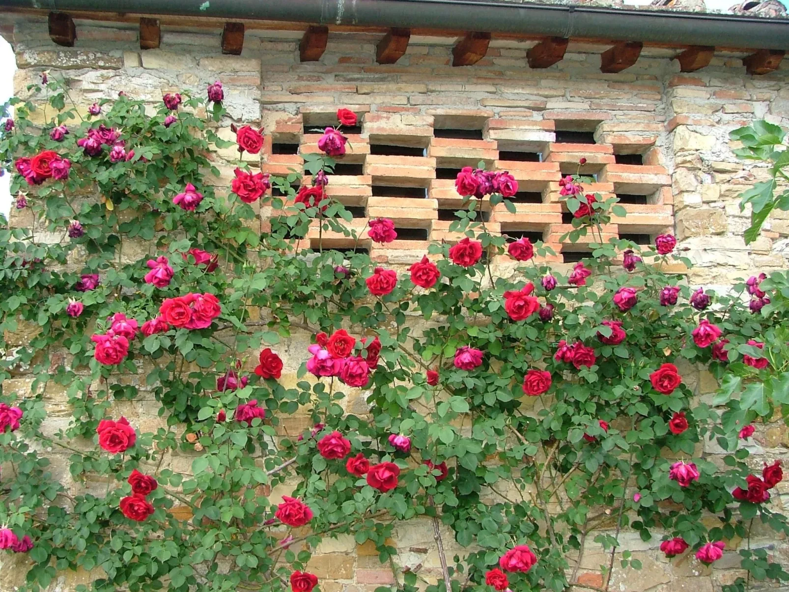 Gemütliche blaue Wohnung mit Garten-Binnen