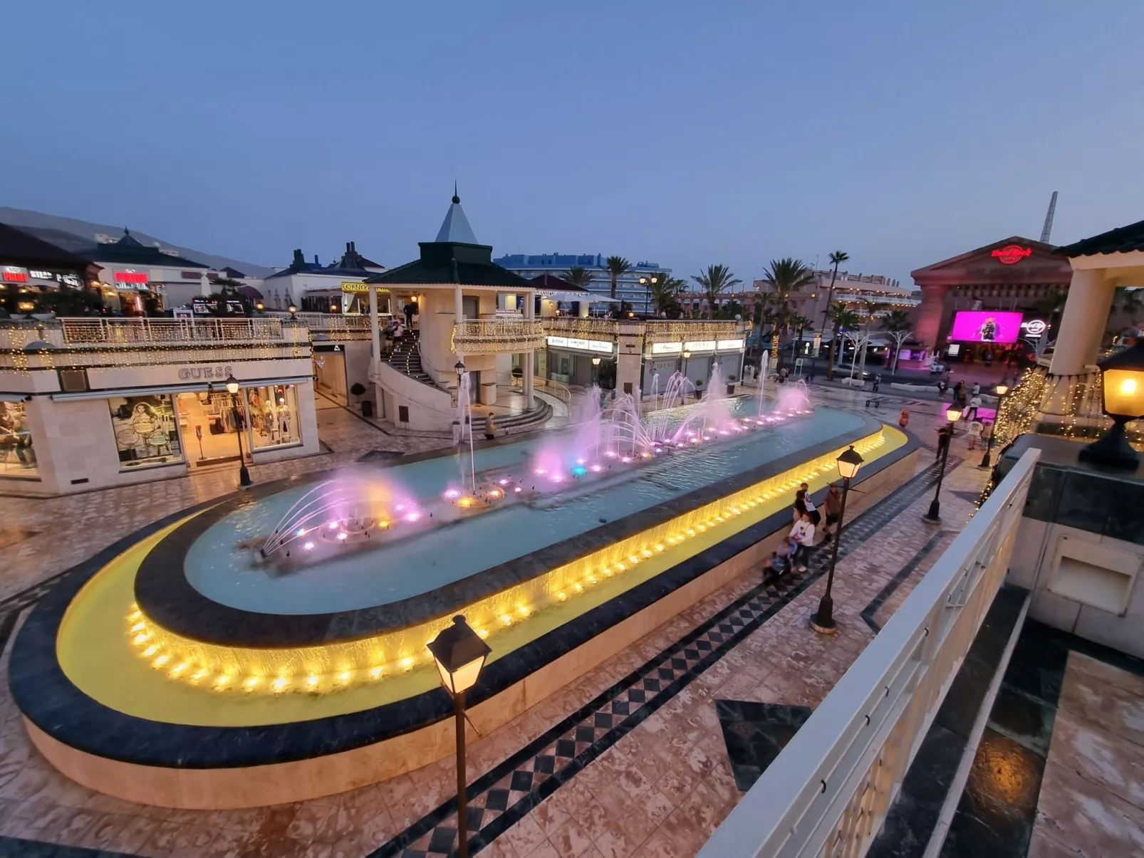 Jacaranda am Meer-Image-tags.info