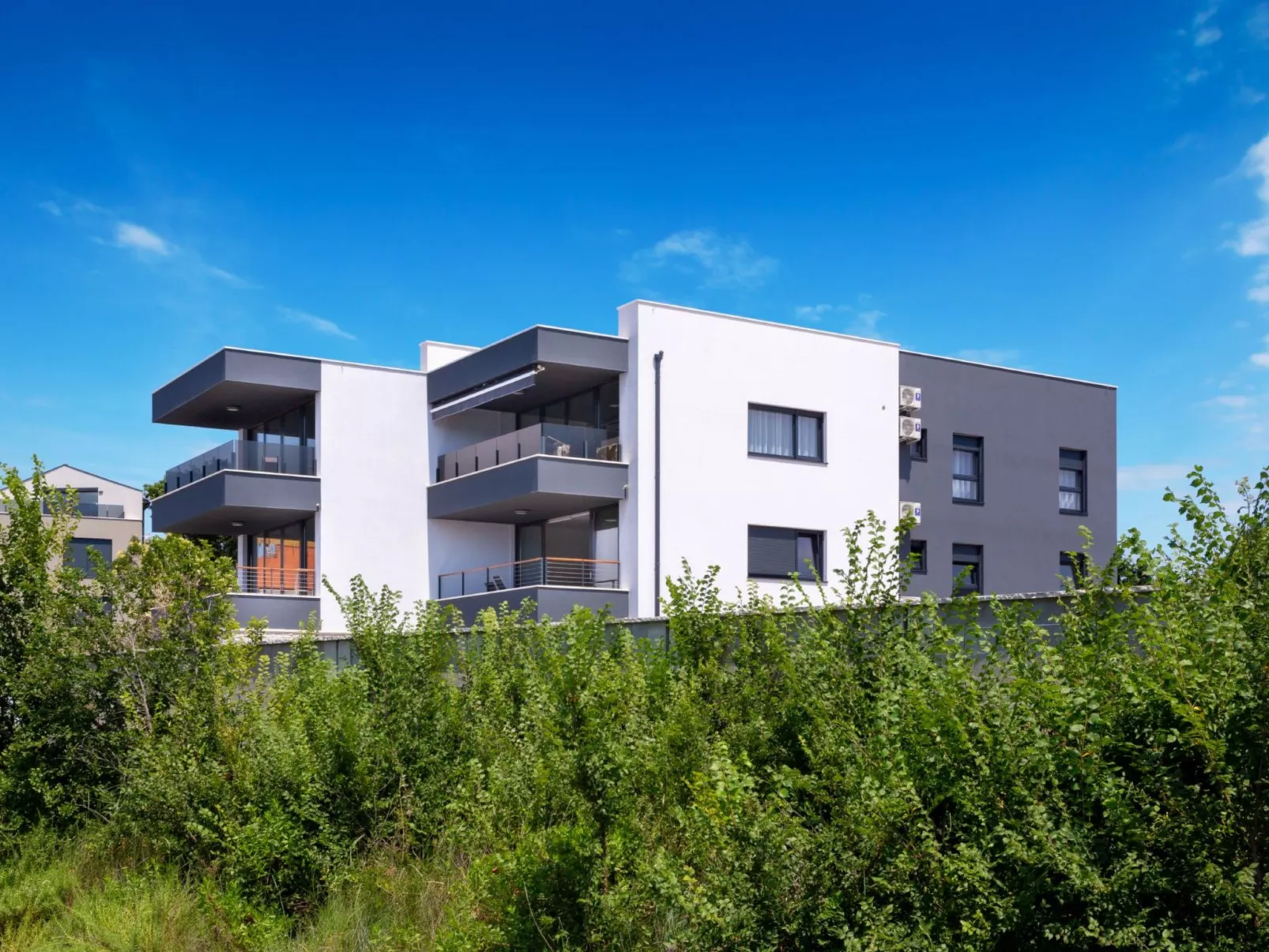 Vizula - Aurelia Maris-Buiten