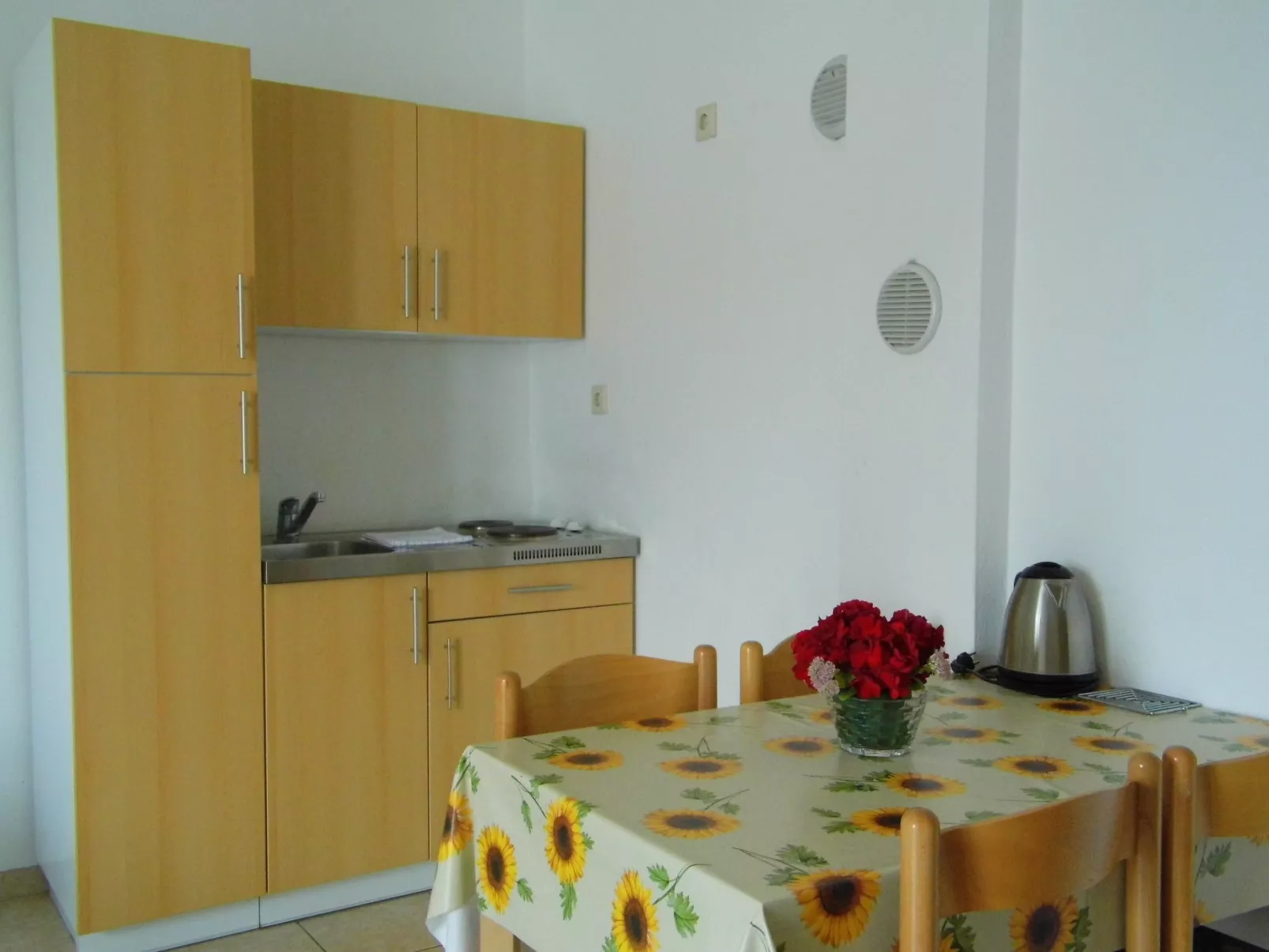 Schöne, geräumige Wohnung in der ersten Etage-Binnen