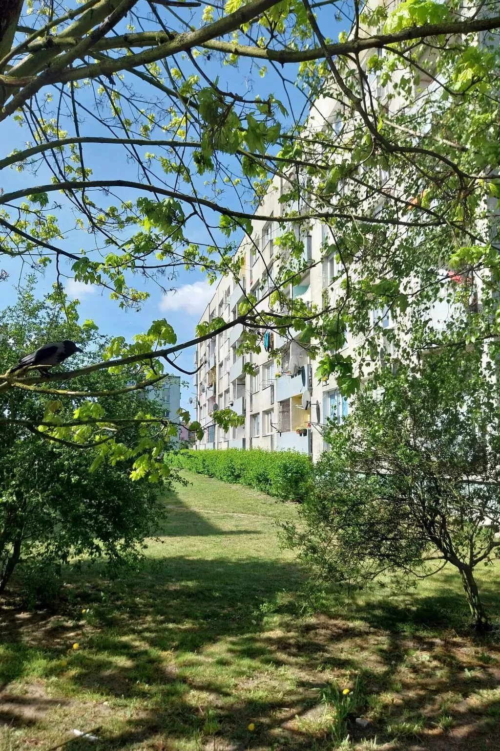 Studio Orla Chata-Buiten