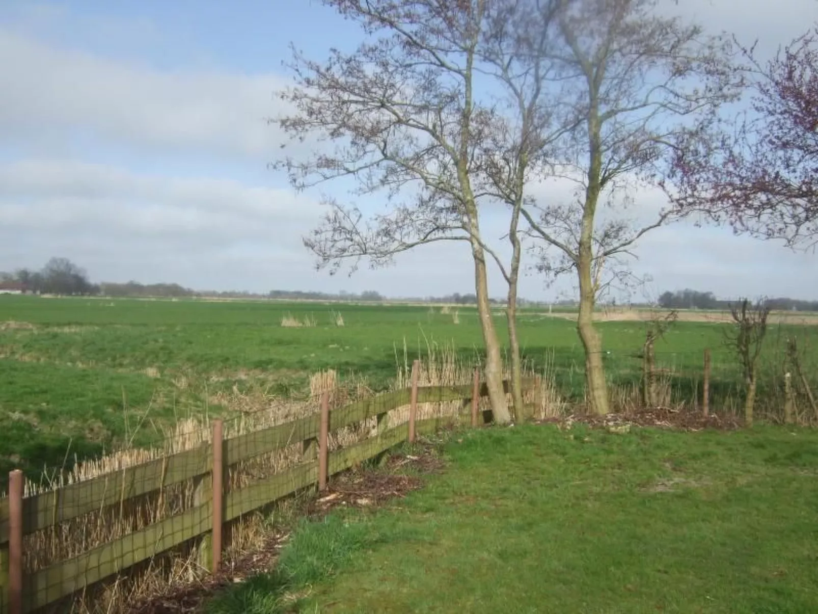 Nurdachhaus Klabautermann mit Terrasse und Garten - Image-tags.info