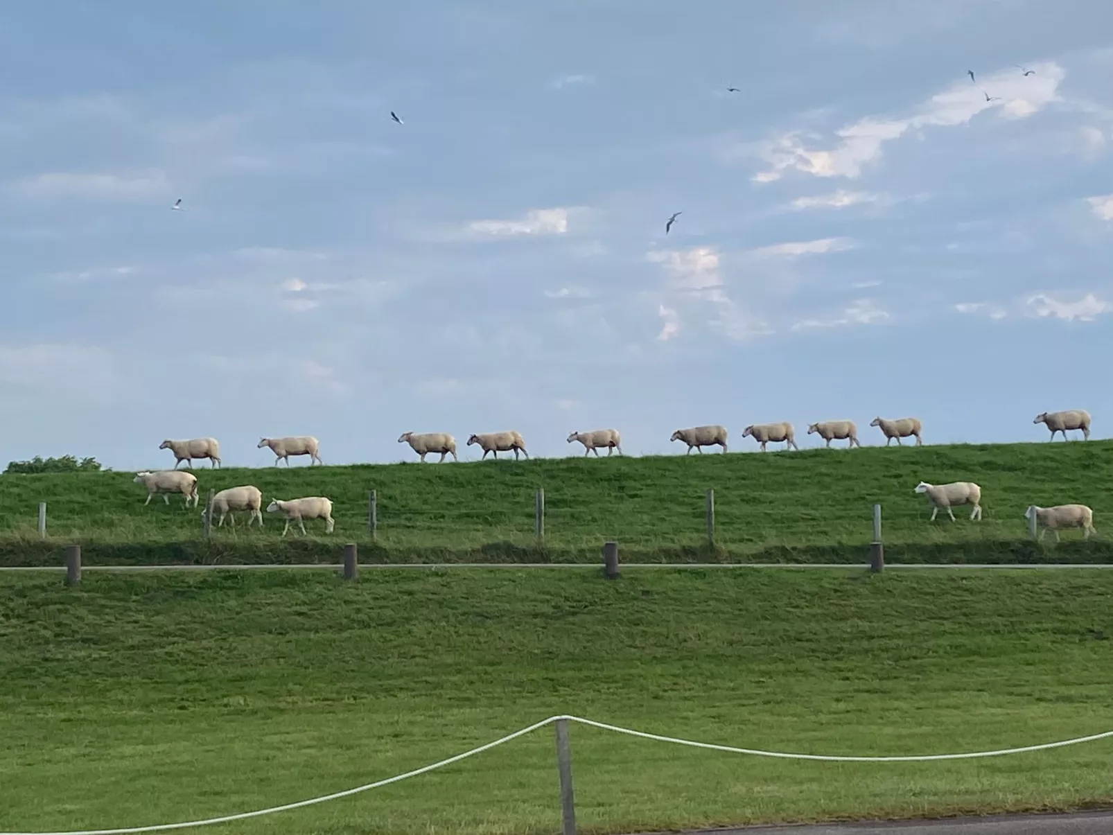 Huus in Hoddersdiek 27 A-Binnen