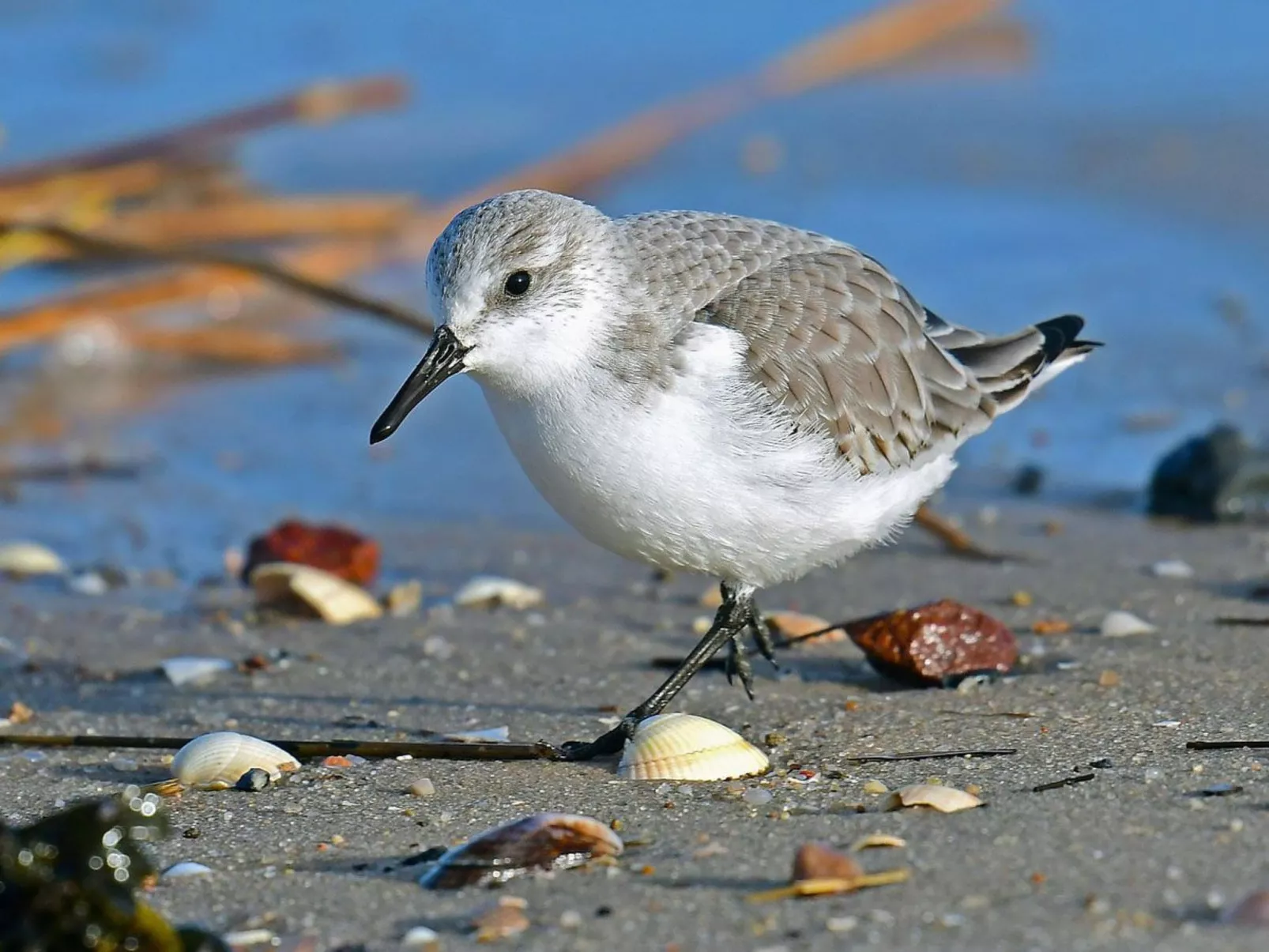 In Burhave mit Großer Terrasse-Image-tags.info