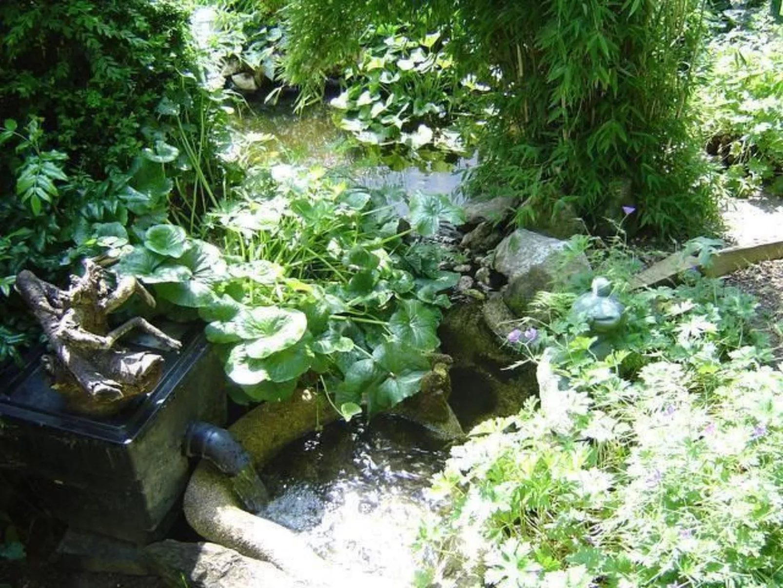 Boller - Image-tags.info