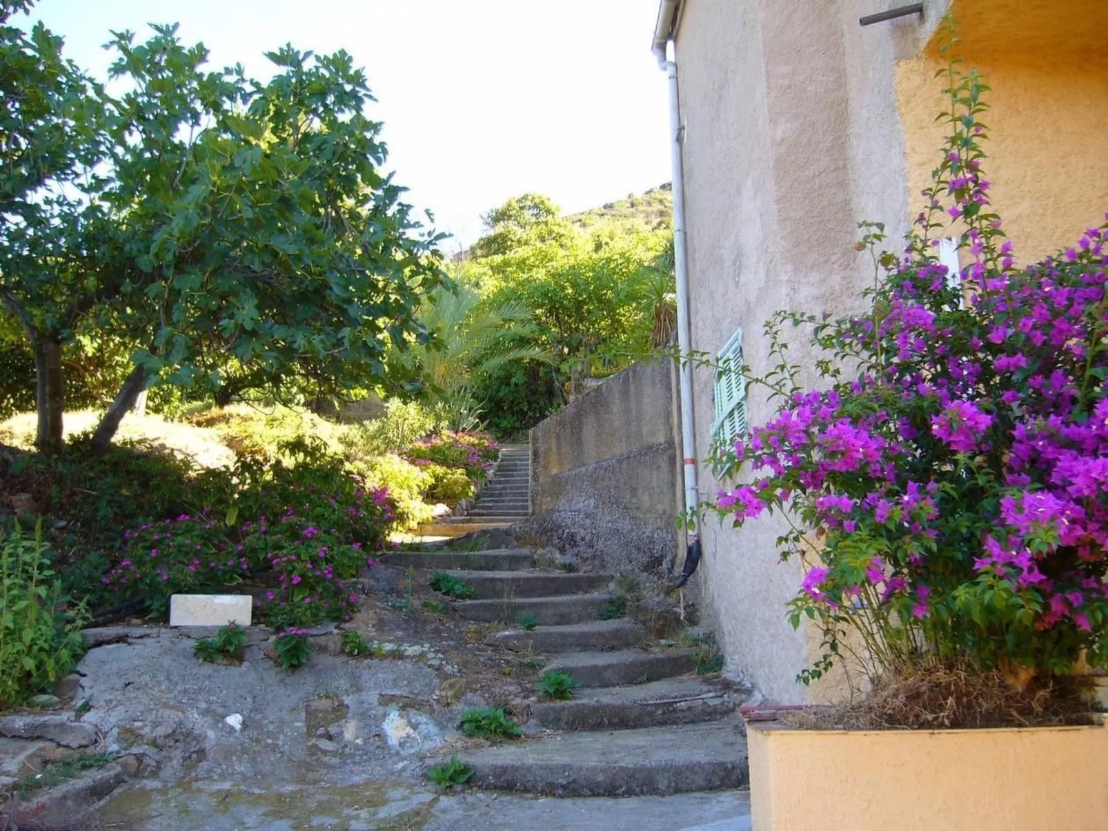 Mit Blick auf das Wasser-Binnen