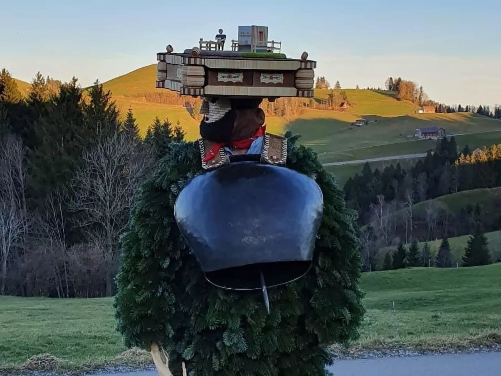 Alpakahof Ferien-Buiten