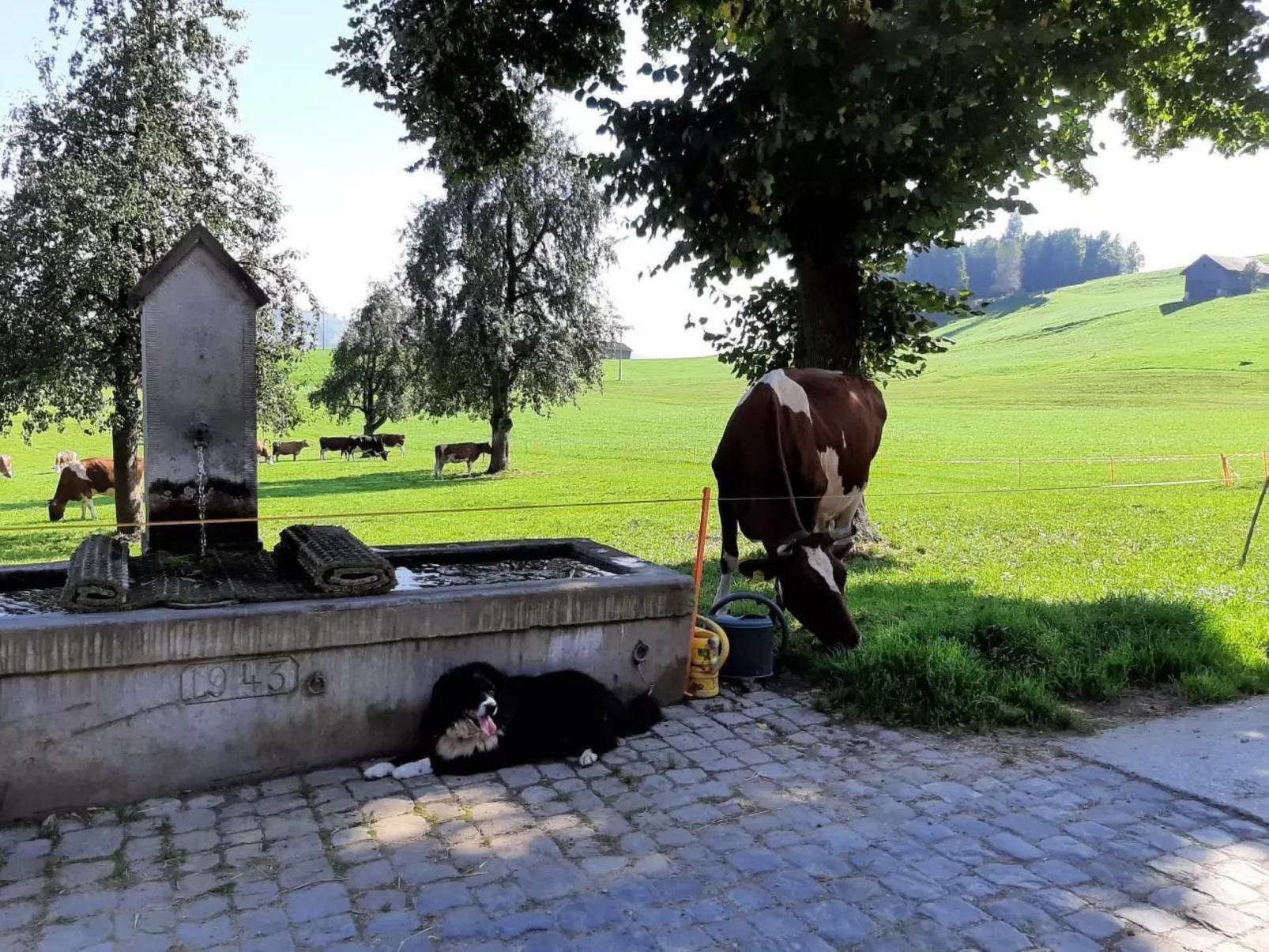 Auf dem Bauernhof-Buiten