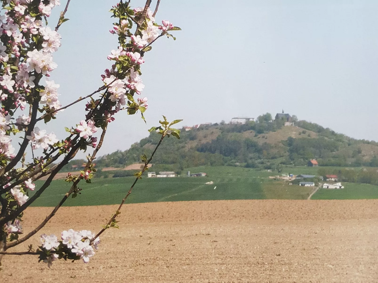 Amöneburg in Amöneburg-Buiten