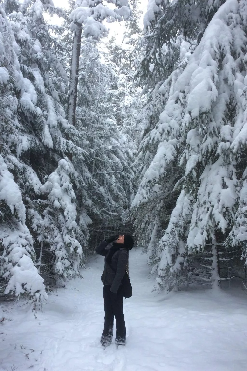 Mit einer umwerfenden Panoramaaussicht-Image-tags.info