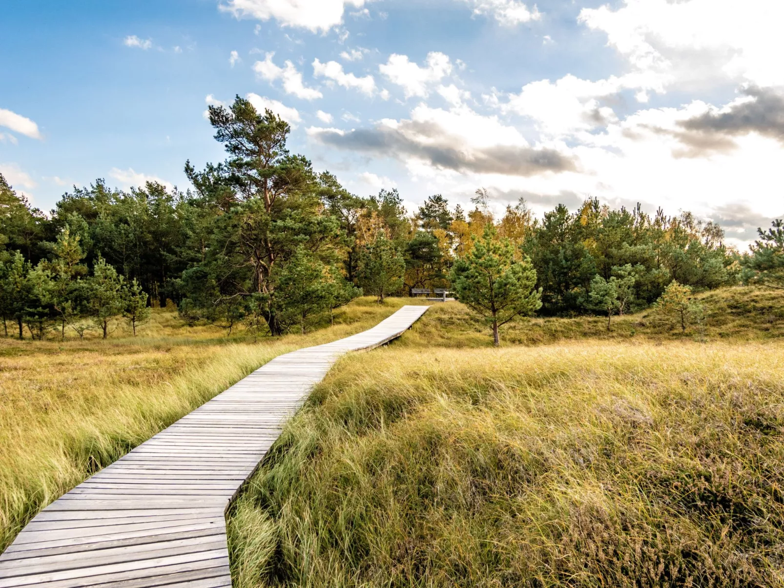 "Kranich"-Image-tags.info