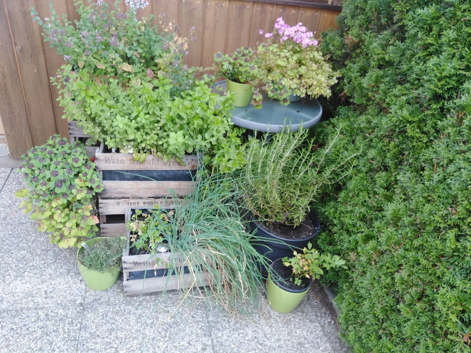 Urlaub in der Natur!-Buiten