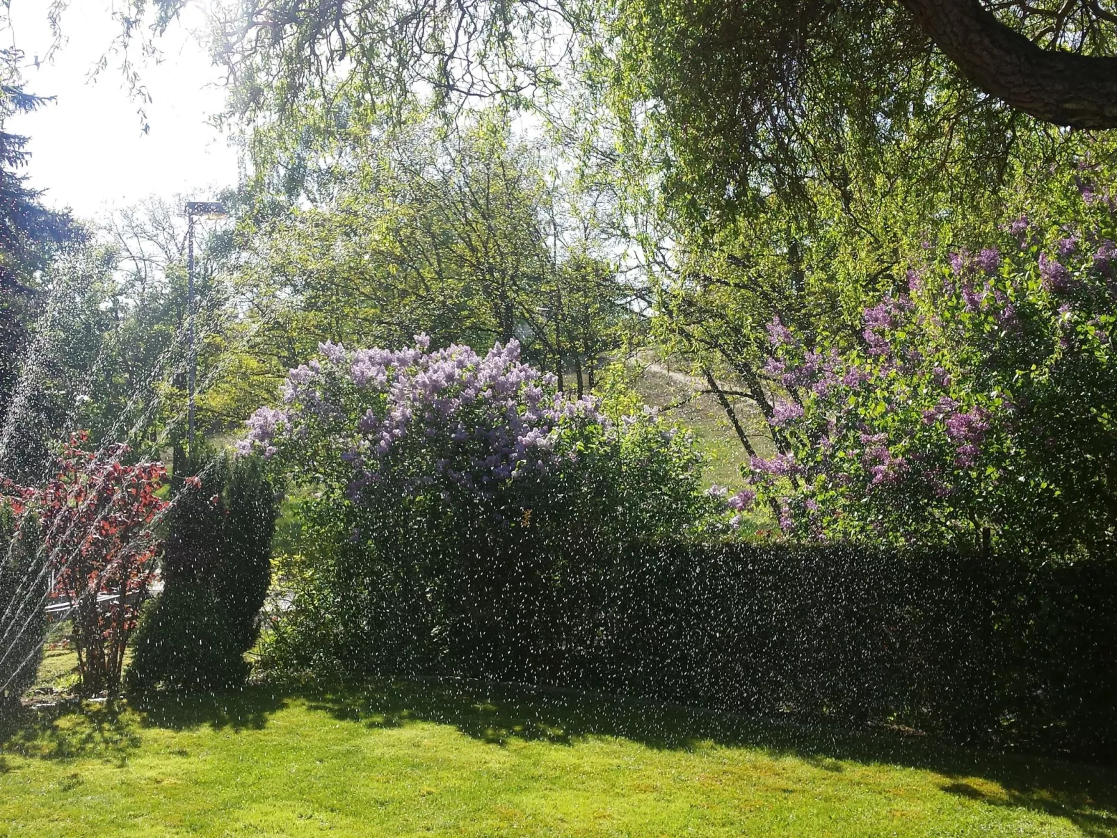 Mit Garten, Grill und Terrasse-Binnen