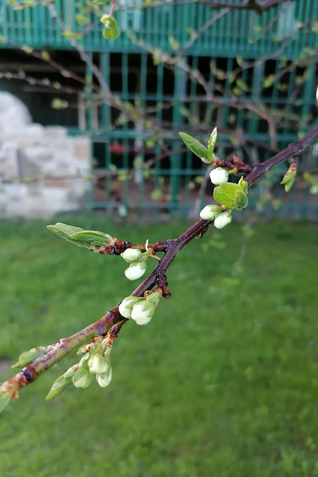 Familienfreundlich Wohnen im Miriquidi-Image-tags.info