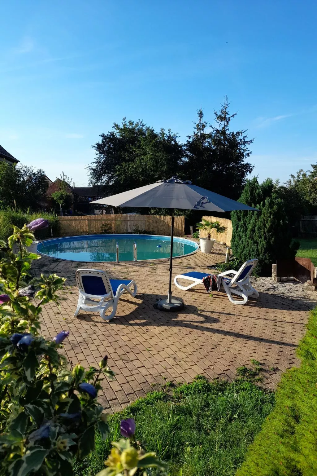 Schäfer-Image-tags.info