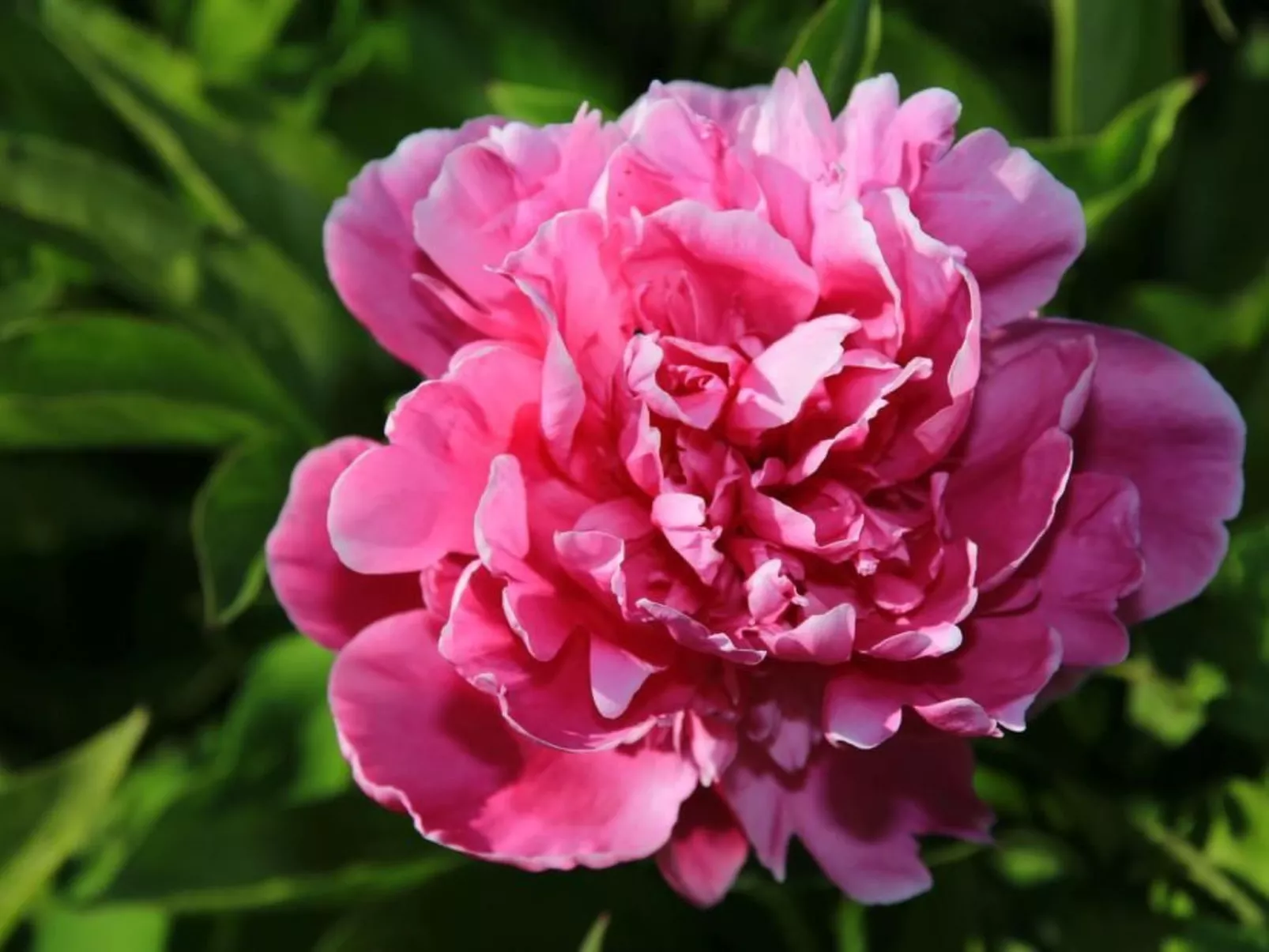 In Storkow mit Schönem Garten-Binnen