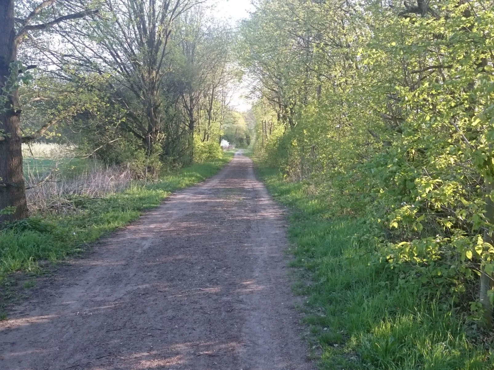 Apartment Laurence-Binnen