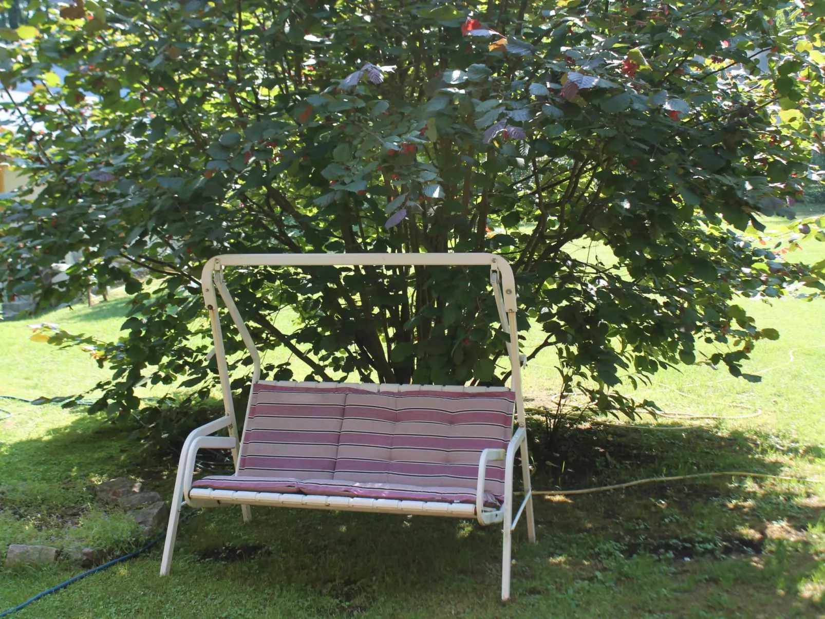 Bungalow Waldidyll-Buiten