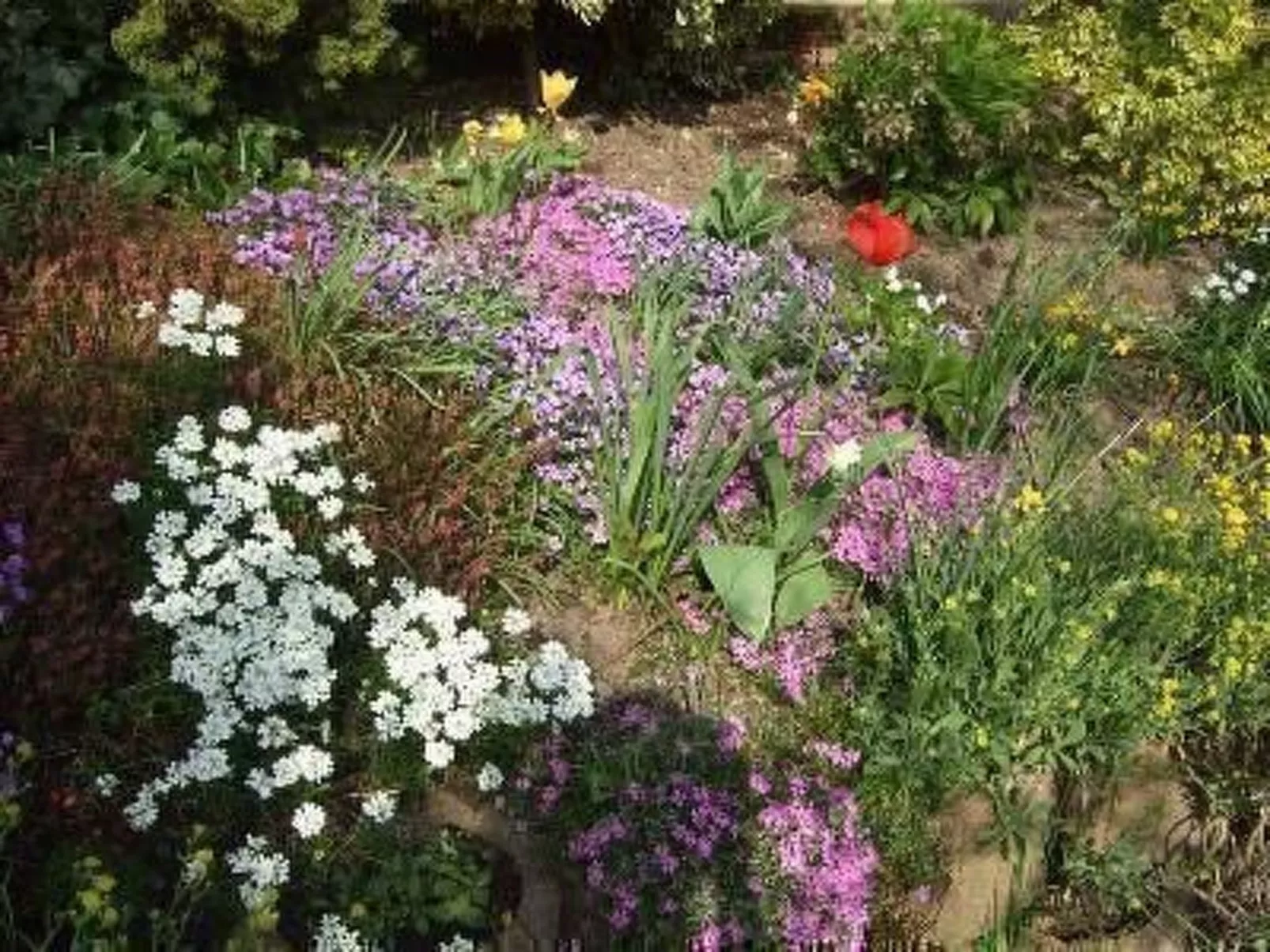 Mayer in Oberkirch-Buiten