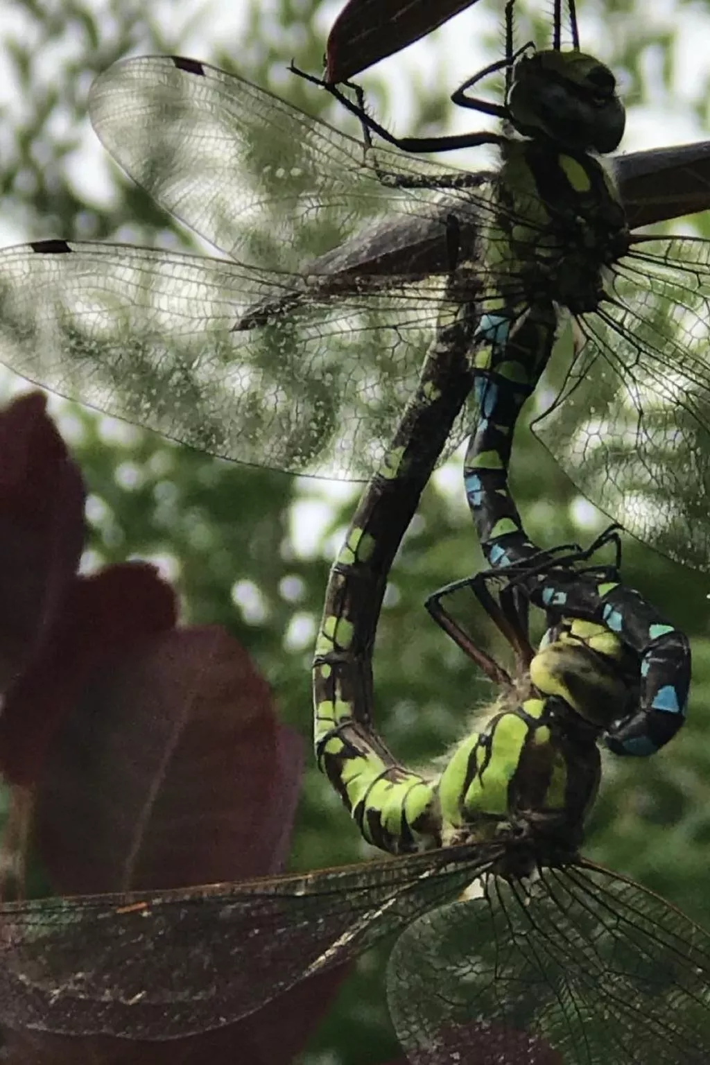 Appartement Spessart-Romantik-Image-tags.info