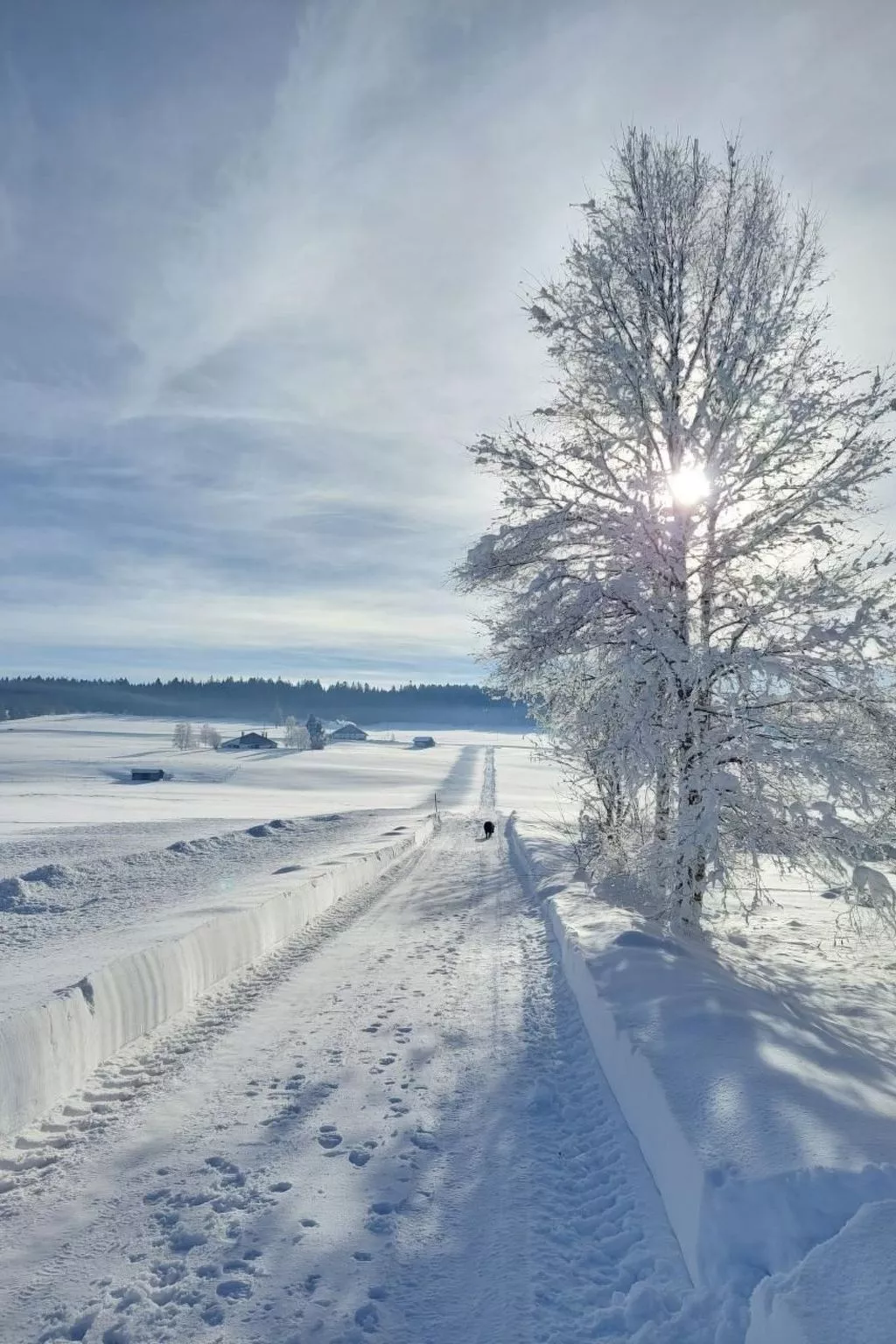 Wohnung in altem, renoviertem Bauernhaus-Image-tags.info