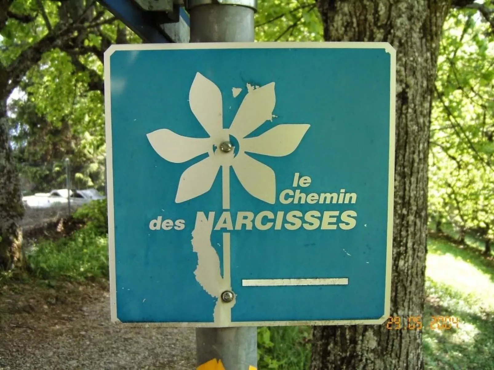 Les Narcisses,Blonay-Buiten
