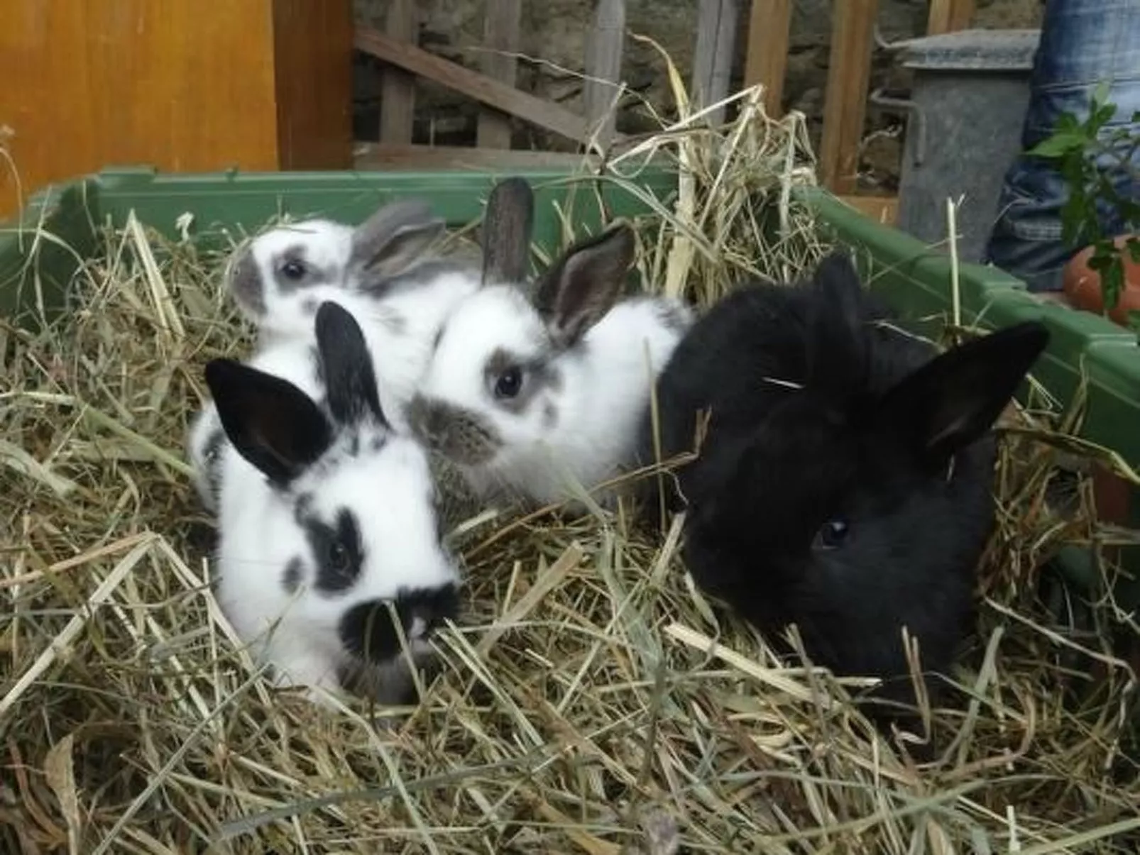 Hof Schürweid - Image-tags.info