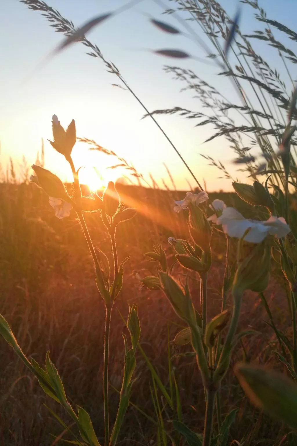 Landhaus Müritzliebe-Image-tags.info