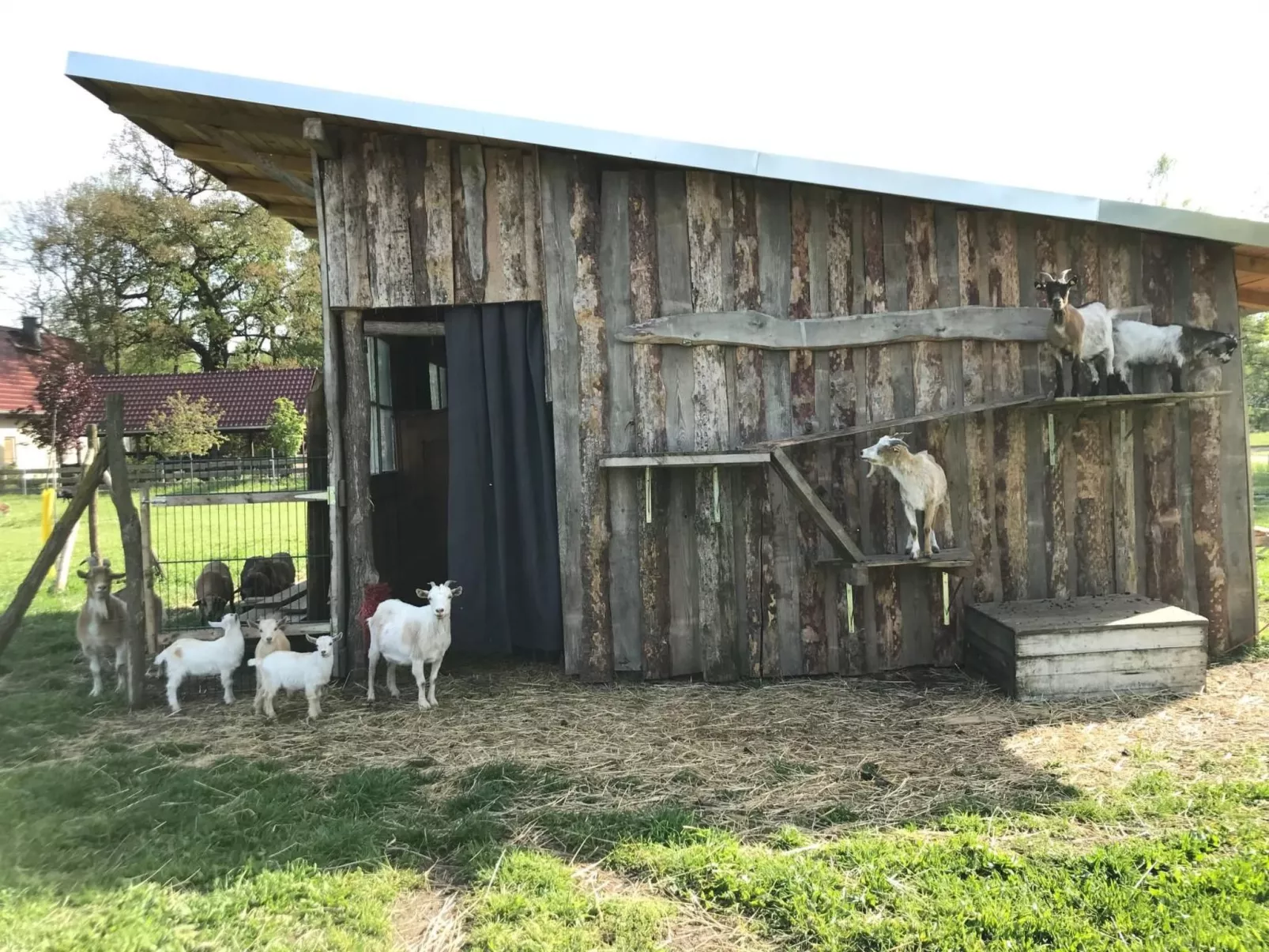 Zochiserlebnishof-Buiten