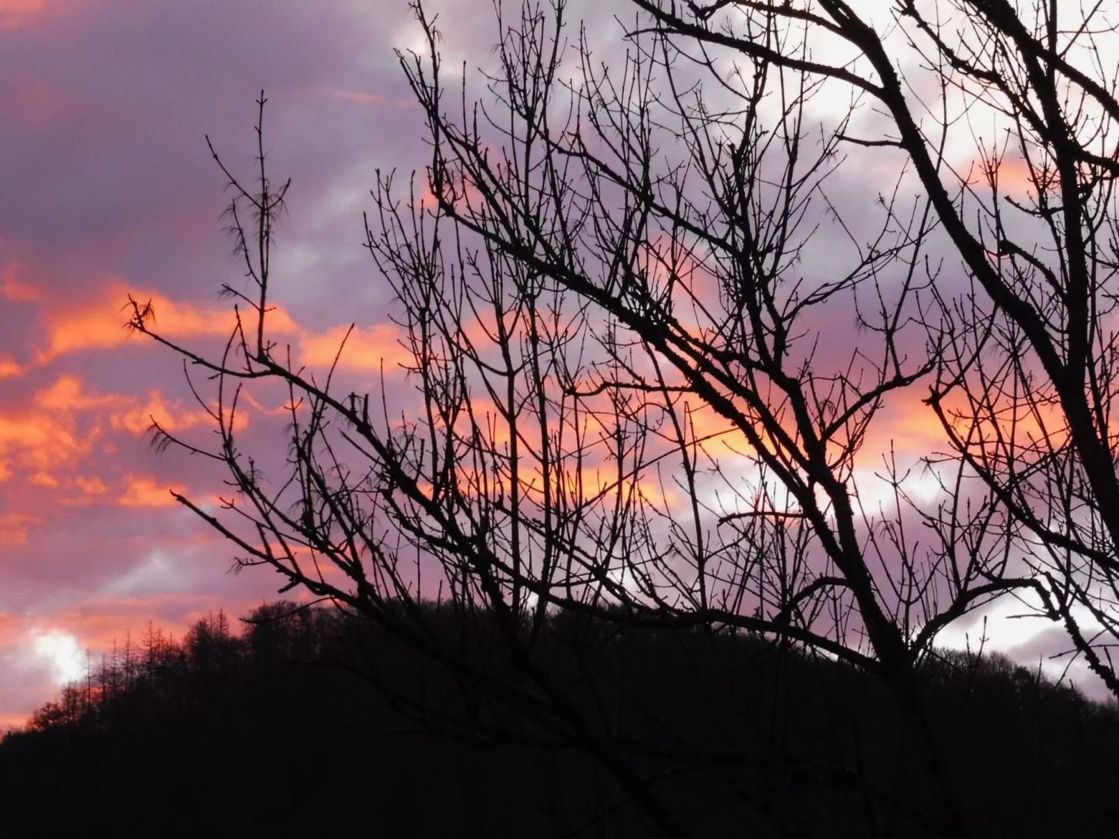 Chalet Wiedfluh in Waldbreitbach-Binnen