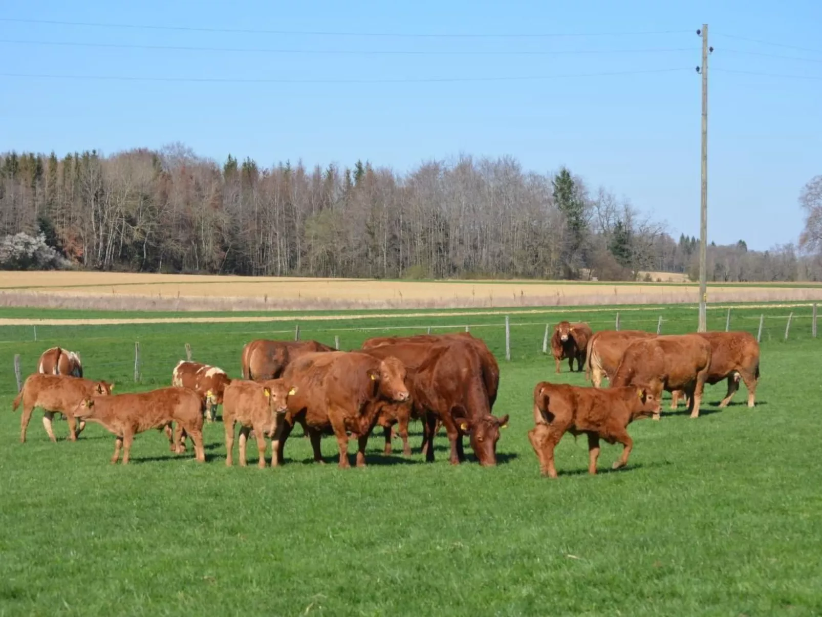 Wohnung "Rustique"-Buiten