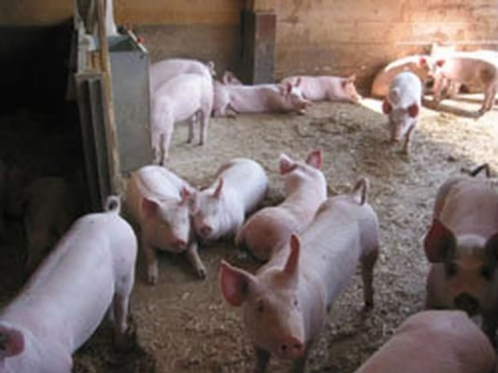 Leinacherhof-Image-tags.info