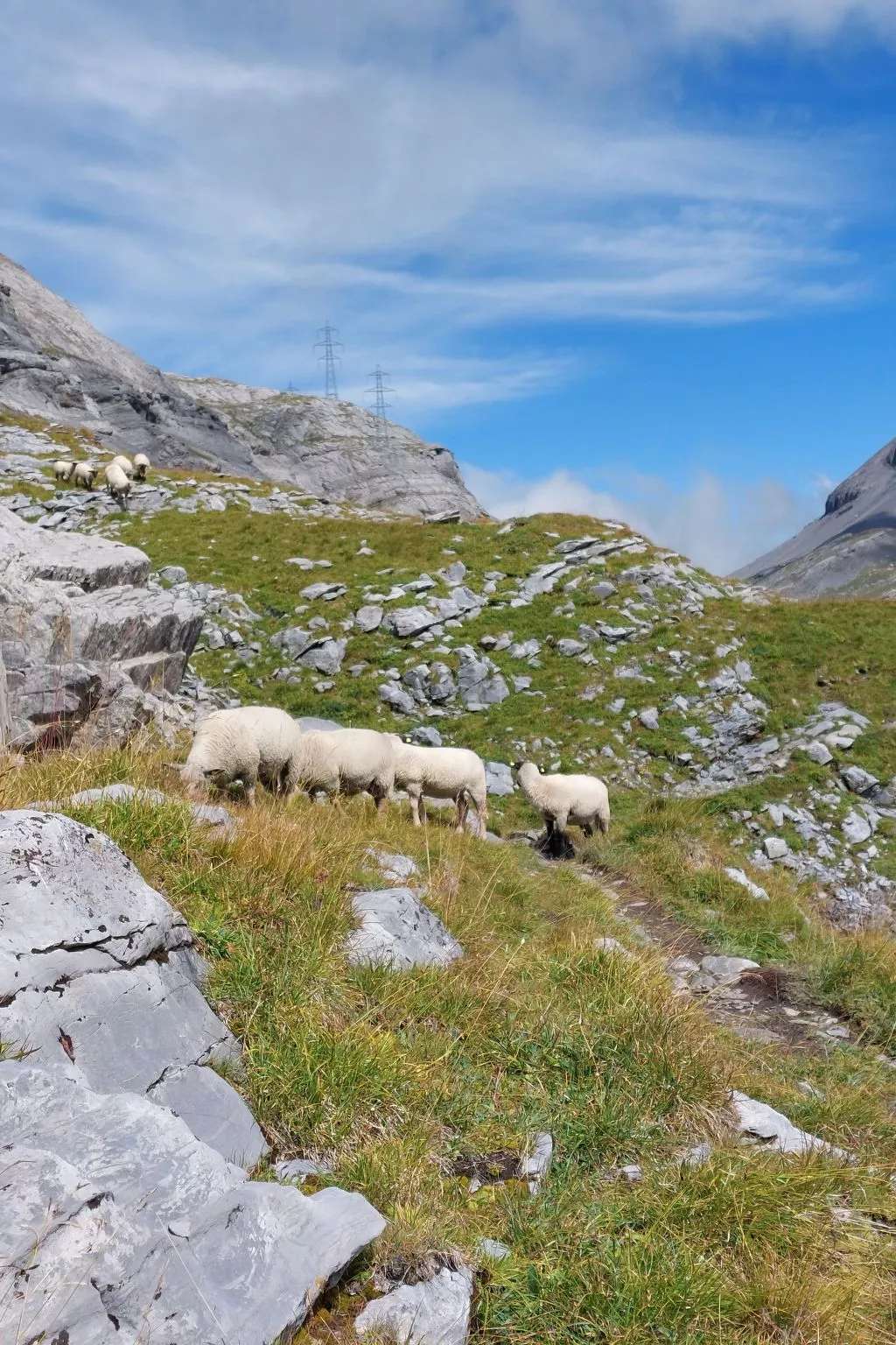 Renoviertes Studio mit mäjestätischer Aussicht-Buiten