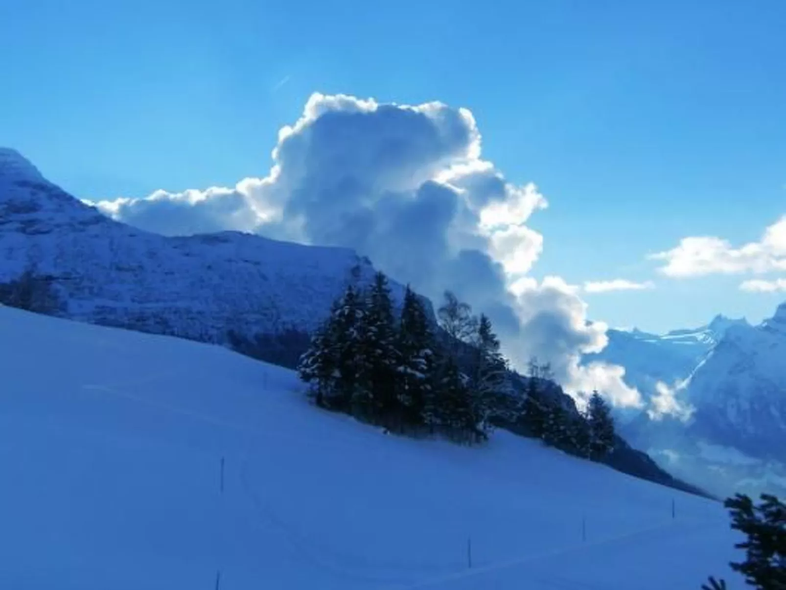 Ferien im grünen rechts-Buiten