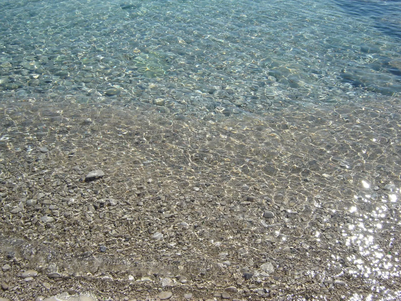 Gemütliches Appartment direkt am Strand-Buiten
