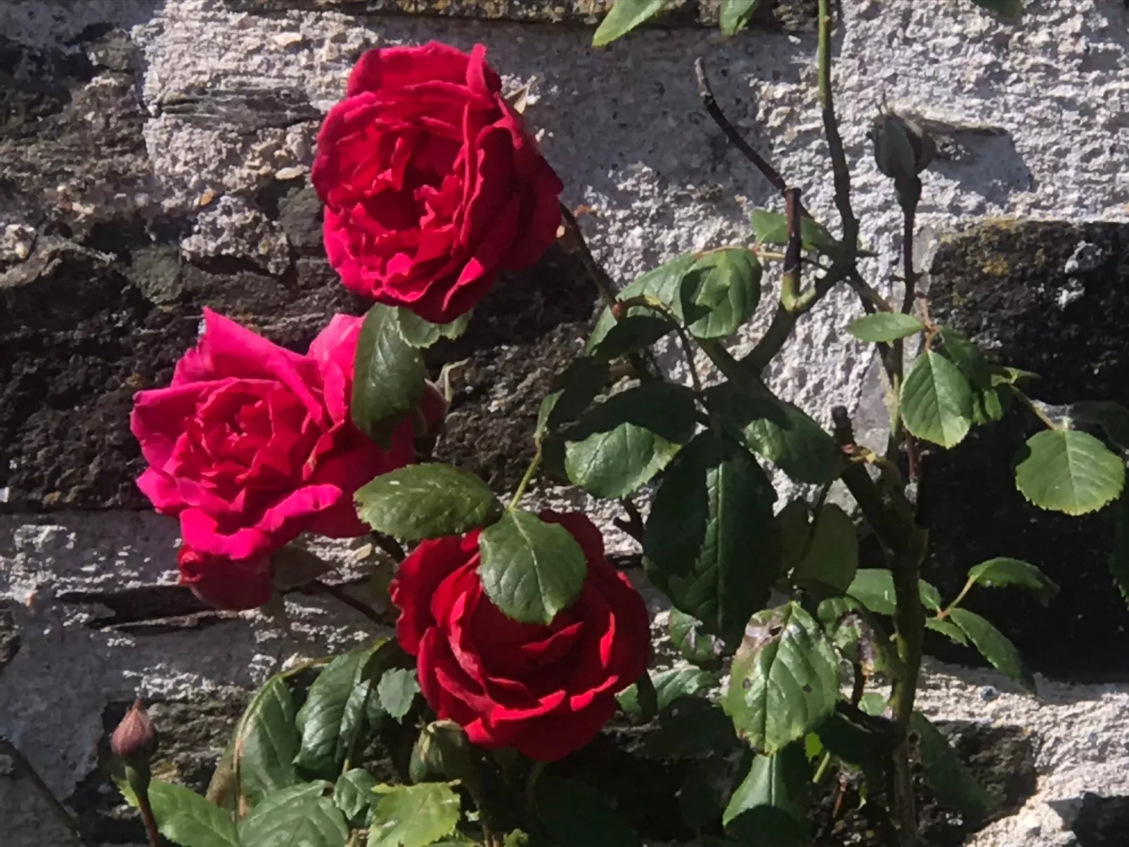 Idyllisches Landhaus mit wunderschönem Garten-Binnen