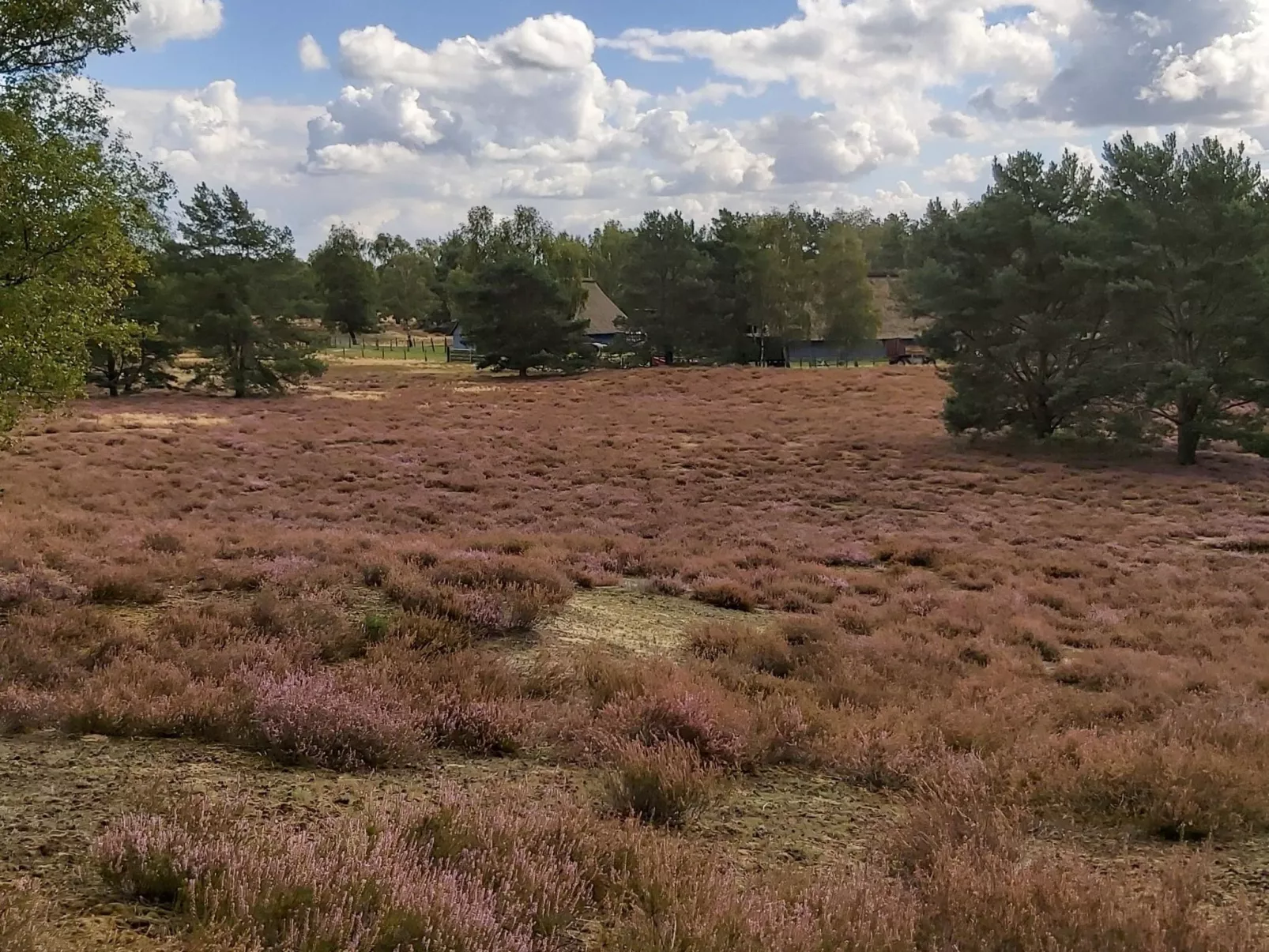 Wohnung in Jameln mit Garten, Grill und Terrasse-Binnen