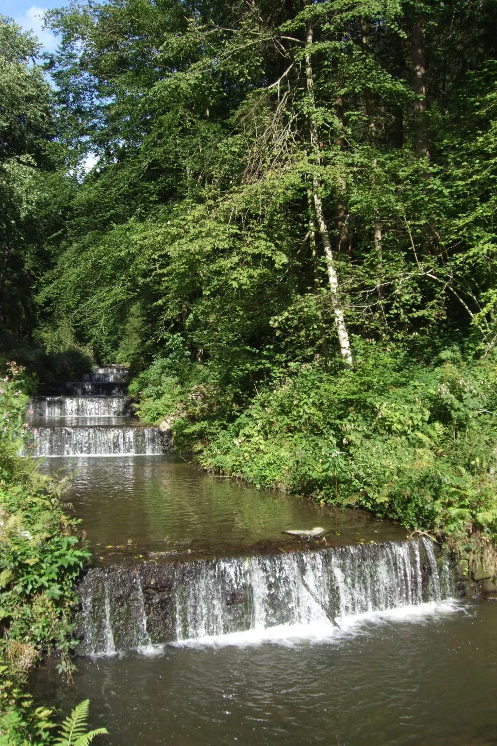 Örtl in Obernzell-Buiten