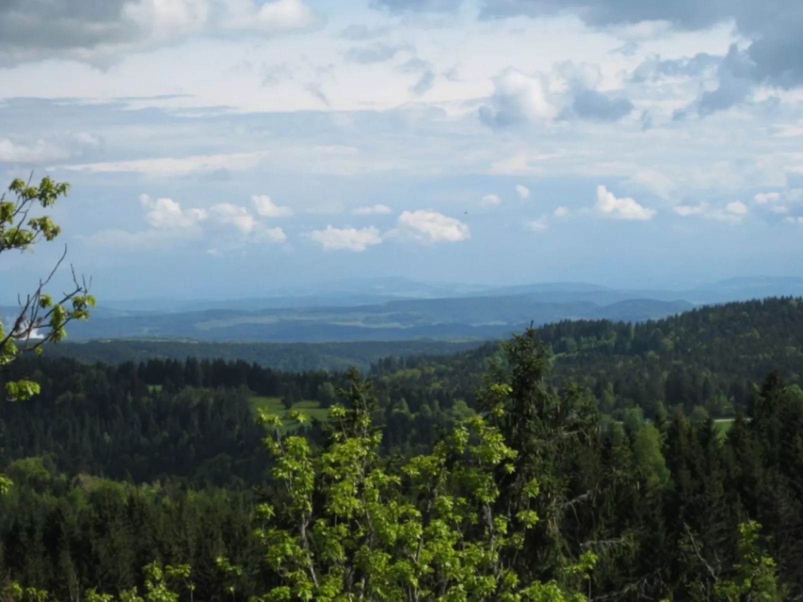 Wohnung "Fübüüni"-Buiten