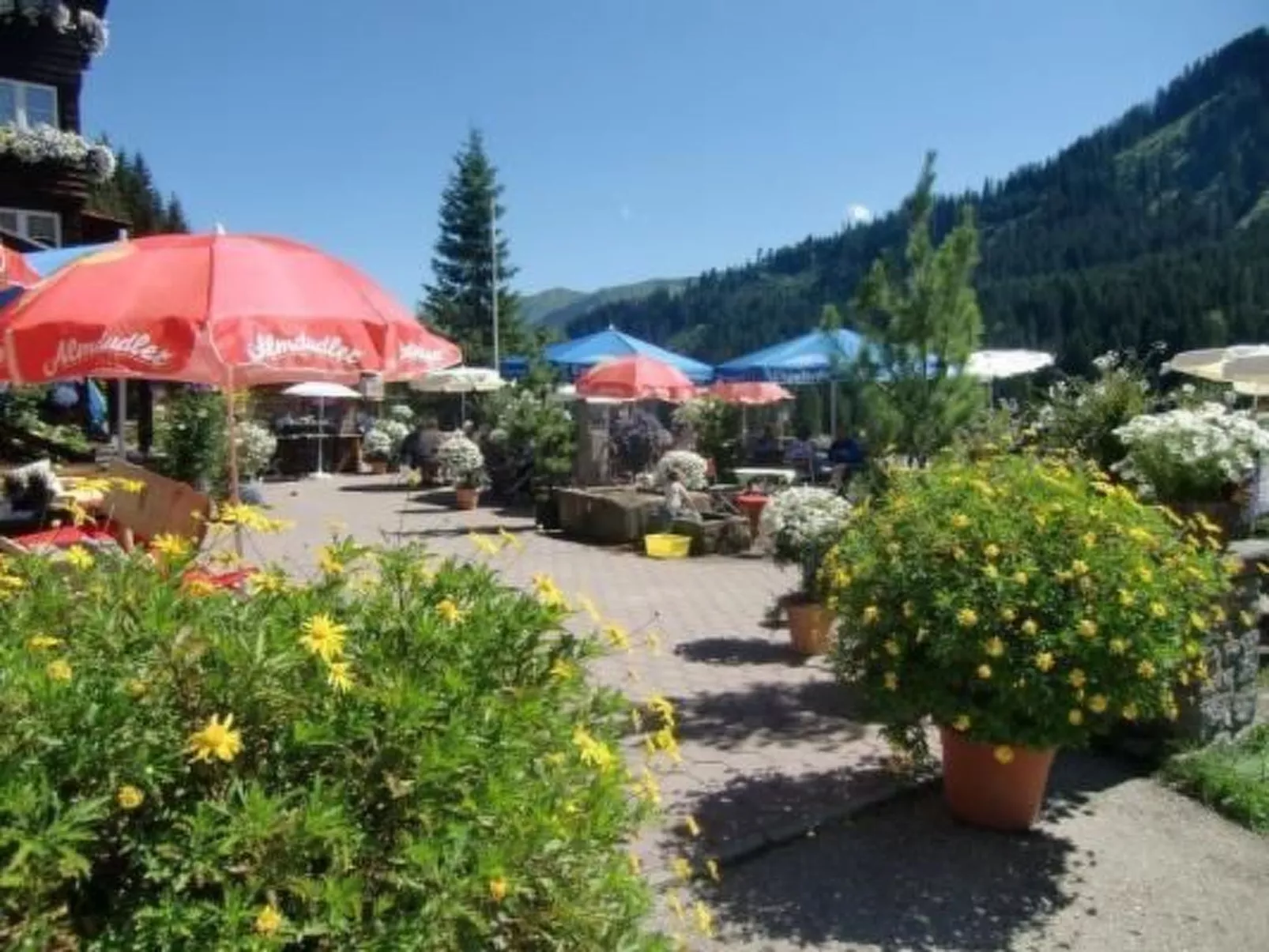 Luxuswohnung, Pistenblick, Nähe Skilift, Mittelberg-Buiten