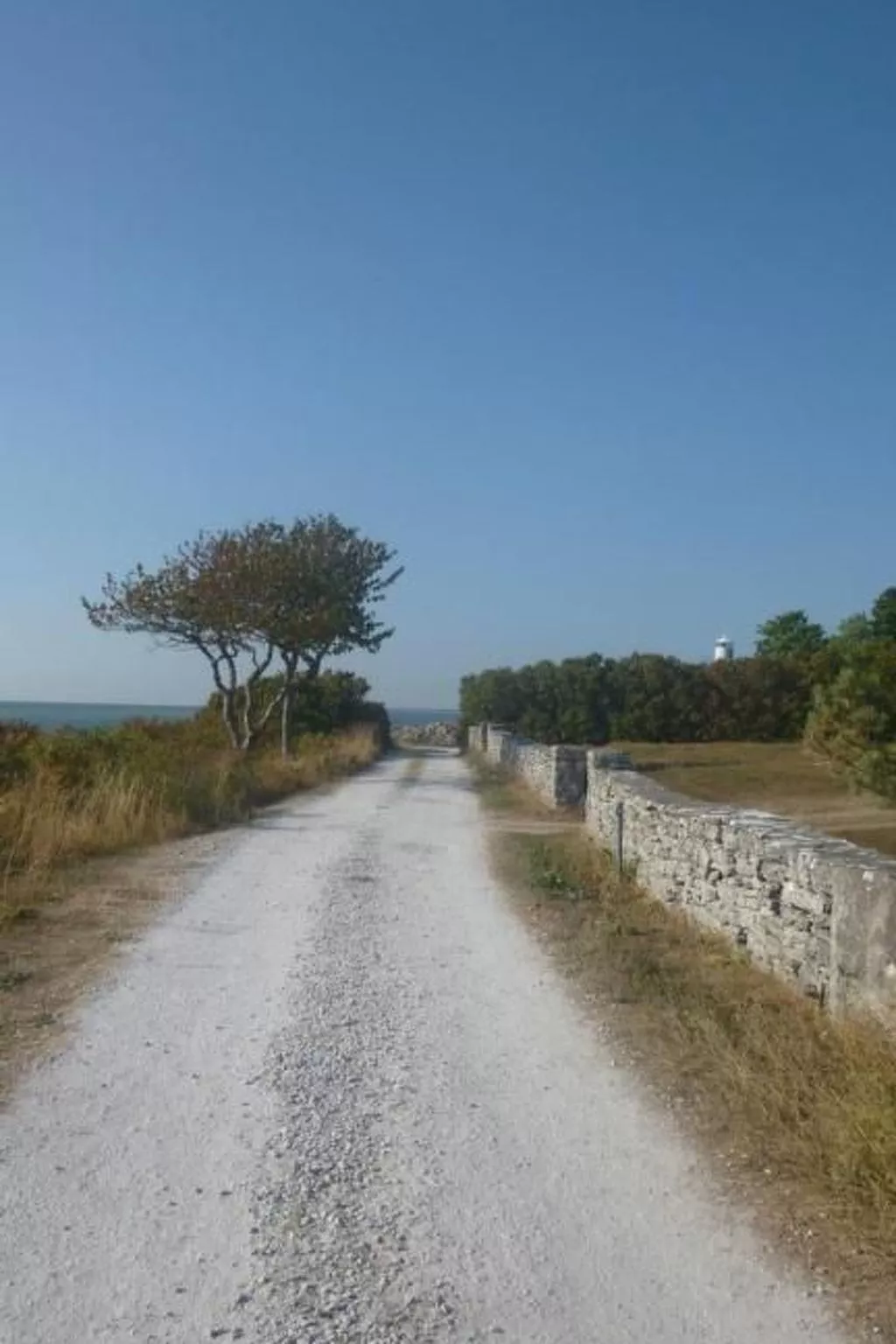 Tiny house Gotland-Image-tags.info