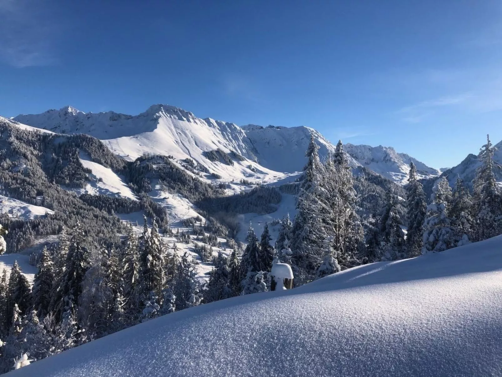 Horizon 4-Image-tags.info