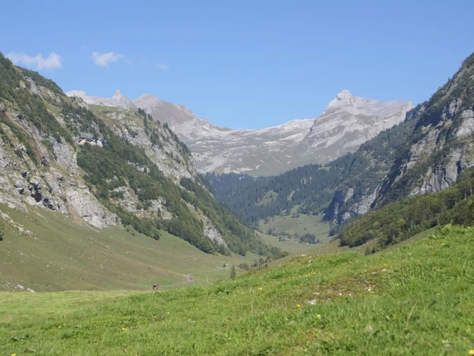 Alphütte Gental - Haslital-Buiten
