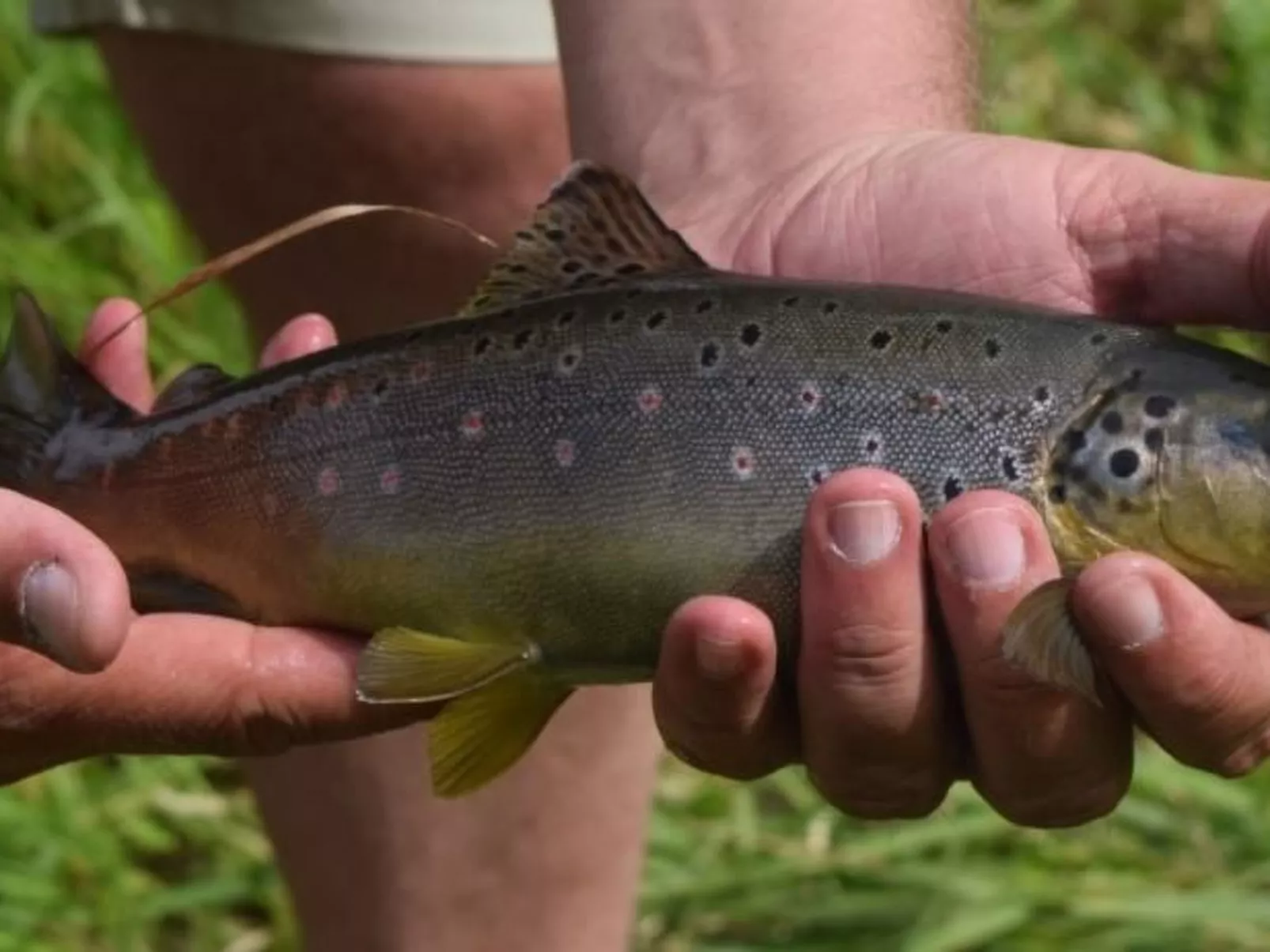 "Lana" mit Whirlpool-Image-tags.info